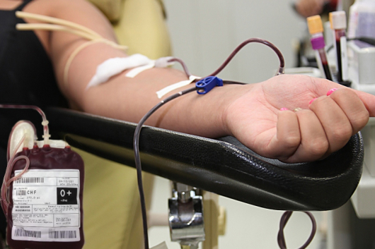 Dia Mundial do Doador de Sangue: confira os requisitos que permitem ou impedem a doação