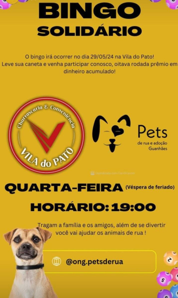 SOLIDARIEDADE PET: Participe do Bingo Solidário em prol da ONG Pets de Rua e Adoção Guanhães!
